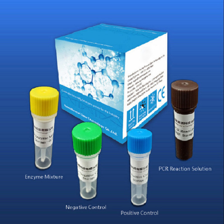 Reagent Diagnostic Test Kits Mo Covid-2019 Fa'alagolago ile Pcr Platform